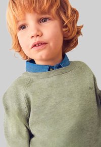 Maglione verde chiaro lavorato a maglia con scollo rotondo e polsini a costine, indossato sopra una camicia di denim blu con colletto abbottonato.