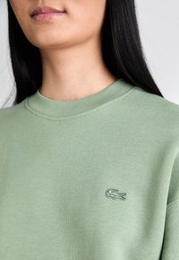 Light green sweatshirt made of soft cotton, featuring a round neckline and small embroidered logo on the chest. Smooth texture.