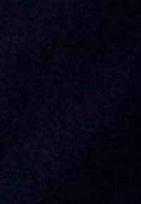 Next Shorts - black