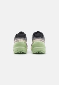 Salomon SPEEDCROSS 6 - Chaussures de running - castlerock/vanilla ice/smoke green