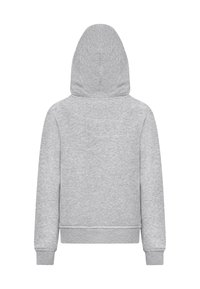 Felpa grigia con cappuccio, in misto cotone, presenta una vestibilità comoda, polsini e orlo a costine, e una texture liscia; vista posteriore senza loghi visibili.