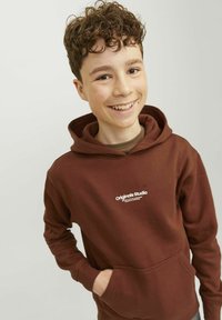 Jack & Jones Junior JORVESTERBRO - Felpa con cappuccio - brown