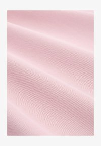 Selected, soft mauve rose