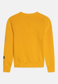 Felpa in cotone giallo con scollo rotondo e polsini a coste. Design semplice senza motivi, con un colore uniforme.