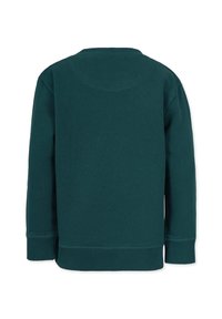 Teal sweatshirt med långa ärmar, ribbade mudd och nederkant. Slät textur med rundad halsringning och en enkel, enfärgad design.
