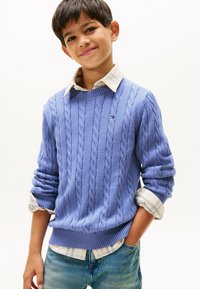 Maglione azzurro chiaro lavorato a maglia con motivo a treccia, scollatura tonda e maniche lunghe, indossato sopra una camicia a quadri chiara con colletto.