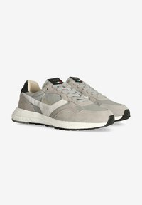 Sneaker in suede grigio con accenti in pelle, suola in gomma e lacci grigi. Presenta logo sulla linguetta e etichetta multicolore. Design della punta piatta e arrotondata.
