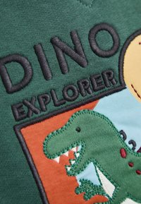 Zelená bavlněná tkanina s vyšitým textem "DINO EXPLORER" a karikaturou dinosaura v zelené barvě, s akcenty v oranžové a modré.
