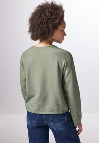 Hellgrüner Pullover mit weicher Textur, Raglanärmeln und rundem Ausschnitt, kombiniert mit blauen Jeans, von hinten betrachtet.