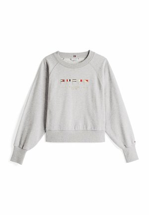 Felpa grigia con collo a giro e maniche raglan. Presenta un logo grafico in rosso, blu e giallo. Polsini e orlo a coste. Tessuto morbido.