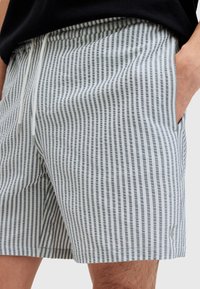 AllSaints WARDEN - Shorts da mare - white grey