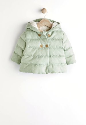 REGULAR FIT - Vinterjacka - sage green spot