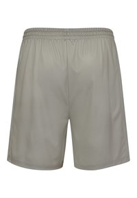 Ljusgrå sportshorts med elastisk midjerem, slät textur och enkel, okomplicerad design. Inga fickor eller mönster syns.