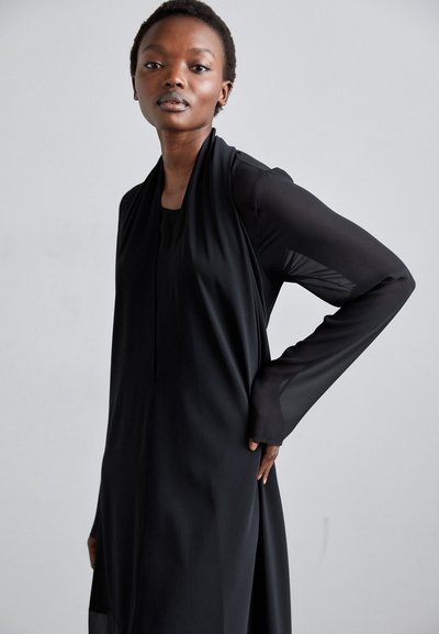 Black dress with long, sheer sleeves; soft fabric with subtle draping; above ankle length; minimalistic design with no visible patterns.