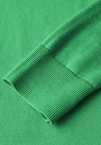 Cecil RUNDHALSPULLOVER - Strickpullover - grün