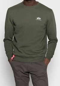 Groene sweatshirt van een katoenmix met een ronde hals, geribde manchetten en een witte logo op de borst. Bevat een rode accentlabel.