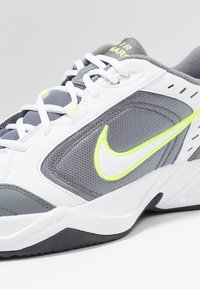 Nike Performance AIR MONARCH IV - Avalynė treniruotėms - white/white /cool grey