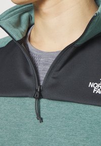 Persona che indossa una giacca a mezzo zip verde e nera su una maglia grigia a motivi, con il logo "THE NORTH FACE" visibile sulla giacca.