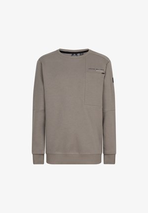 Grauer Pullover aus weichem Stoff, mit Rundhalsausschnitt, langen Ärmeln und einer Brusttasche mit Logotext. Rippbündchen an den Ärmeln und am Saum.