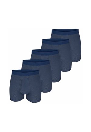 Blue boxer shorts, featuring a striped pattern, stretch fabric, elastic waistband, and a close-fitting design. Pack of five.