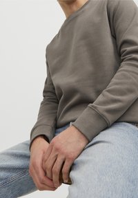Felpa grigia in tessuto morbido con collo rotondo e polsini a coste, abbinata a jeans azzurri strappati. Mani appoggiate sulle ginocchia.