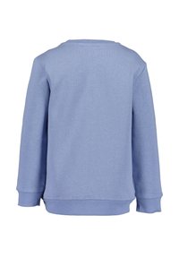 Felpa azzurra chiara, stoffa di cotone morbido, maniche lunghe, colletto girocollo, polsini e orlo a costine, design minimalista, senza pattern o elementi metallici visibili.