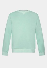 Sweat-shirt vert clair à col rond, manches longues, poignets et ourlet côtelés, présenté sur un fond gris clair uni.