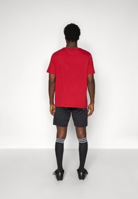 adidas Performance FCB PRO - Klub merchandise - black