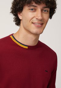 Maglione lavorato a maglia color bordeaux con collo rotondo, accenti a righe gialle e blu e un piccolo logo scuro sul petto.