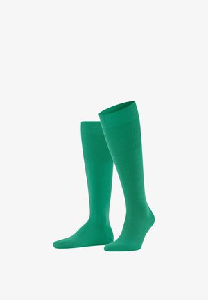 Knielange Socken in solidem Grün, aus einem weichen, strukturierten Stoff mit gerippten Bündchen und einer glatten Oberfläche am Schaft. Keine zusätzlichen Muster.