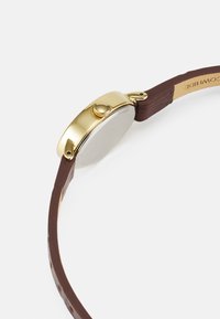 Timex Watch - brown