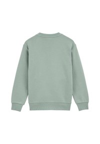 WE Fashion BLUE RIDGE - Sportinis megztinis - light green