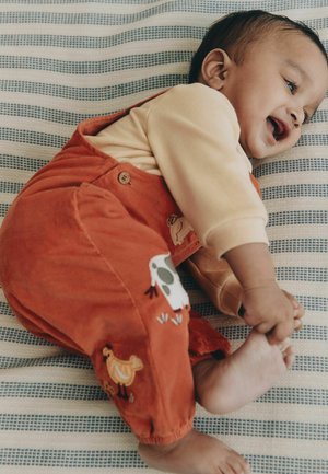Next, REGULAR FIT - CORD DUNGAREE AND BODYSUIT BABY SET . - Body - rust brown farmyard