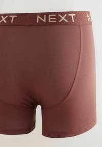 Next A FRONTS 10 PACK - Boxer alsónadrág - blue neutral purple
