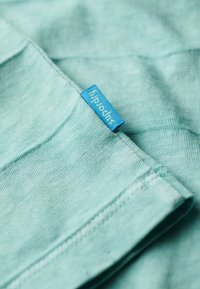Superdry & Co Camiseta básica - fresh mint green
