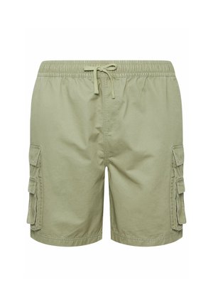 Shorts cargo pour hommes vert clair avec ceinture élastique, cordon de serrage et poches latérales à rabat, vue de face sur fond blanc.