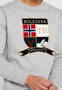 Sudadera gris con un logo de escudo que presenta secciones multicolores, incluyendo una bandera azul y blanca, letras doradas y acentos en negro.