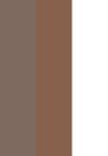 seal brown