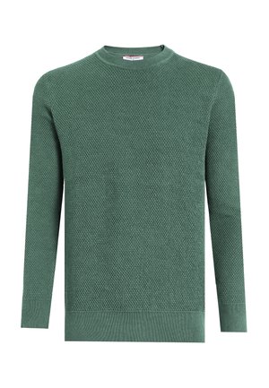 CLASSIC CREW NECK SWEATER - Trui - green