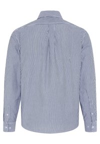 Blue and white striped long-sleeve shirt with a collar, back yoke, buttoned cuffs, and curved hem. Made of lightweight, smooth fabric.