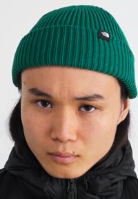 The North Face FISHERMAN BEANIE UNISEX - Megzta kepurė - evergreen