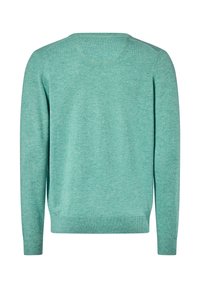 Turquoise gebreide trui met een ronde hals, lange mouwen en een zachte textuur. Beschikt over ribgebreide boorden en zoom. Achteraanzicht weergegeven.