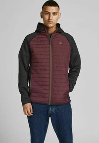 Jack & Jones - JJEMULTI QUILTED JACKET - Välikausitakki - port royale Pienoiskuva 1