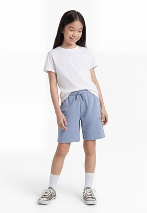 Dickies YOUTH MAPLETON UNISEX - Lühikesed püksid - country blue