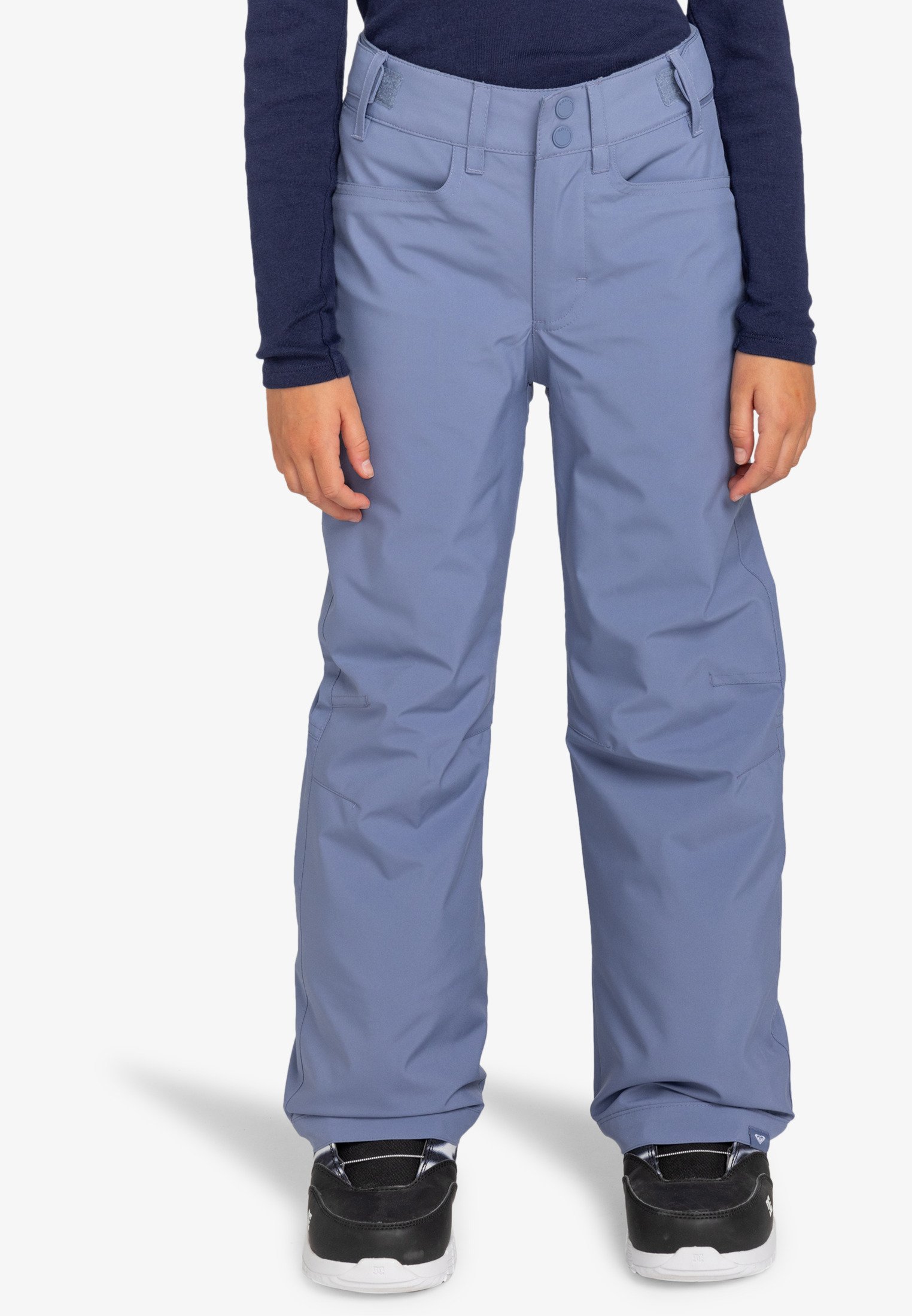 Roxy BACKYARD Snow pants wild wind/purple