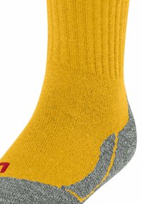 FALKE ACTIVE WARM  - Calze sportive - bee