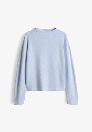 Maglione a maniche lunghe azzurro chiaro con design a maglia lavorata a trama e motivo, scollatura tonda. Linea semplice con orli a coste.