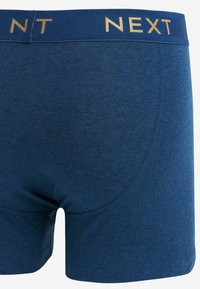 Next WAISTBAND 4 PACK  - Chiloți boxer - blue grey