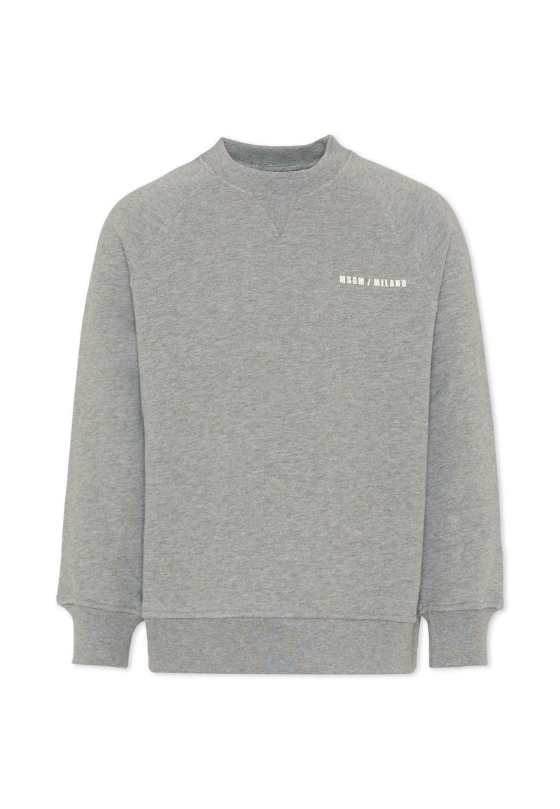 Grijze crewneck sweatshirt met lange mouwen, geribde manchetten en onderrand, met een witte gedrukte logo op de borst. Zacht, katoenmix materiaal.