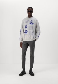 Marimekko LOISTO PLACEMENT UNISEX - Ikdienas džemperis - grey